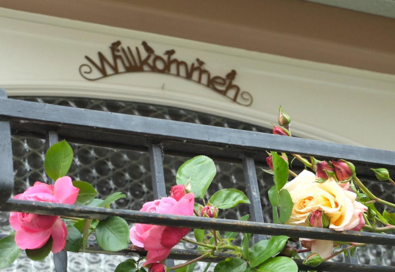 Gaestehaus Hermine Oberkirch  Exteriér fotografie
